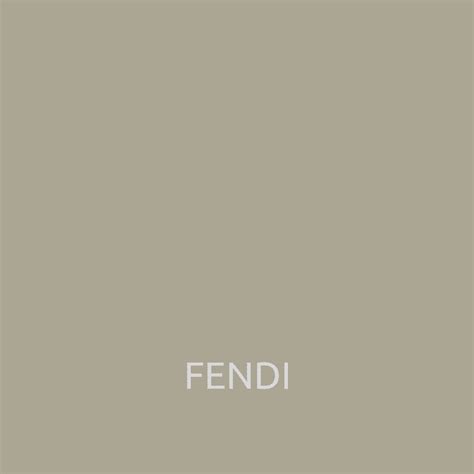 cinza fendi|Fendi Hassan .